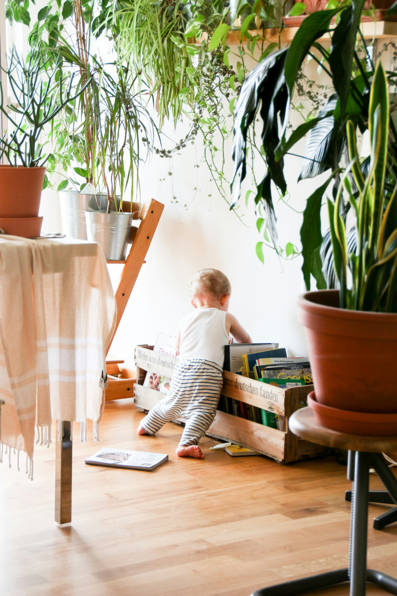 Toddler browsing a crate of books in a plant-filled room